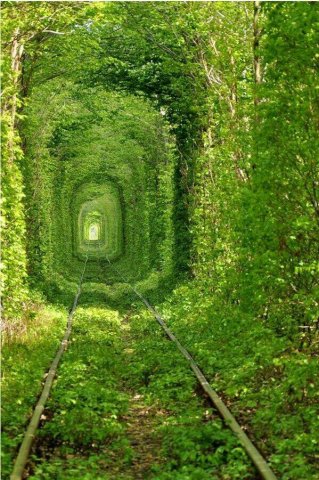 Tunel del Amor, Ucrania